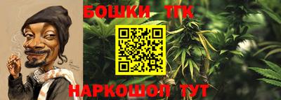 спиды Лесосибирск