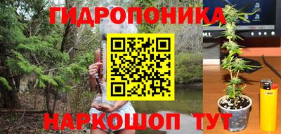 спиды Лесосибирск