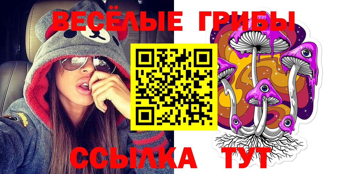 Галлюциногенные грибы ЛСД Егорьевск