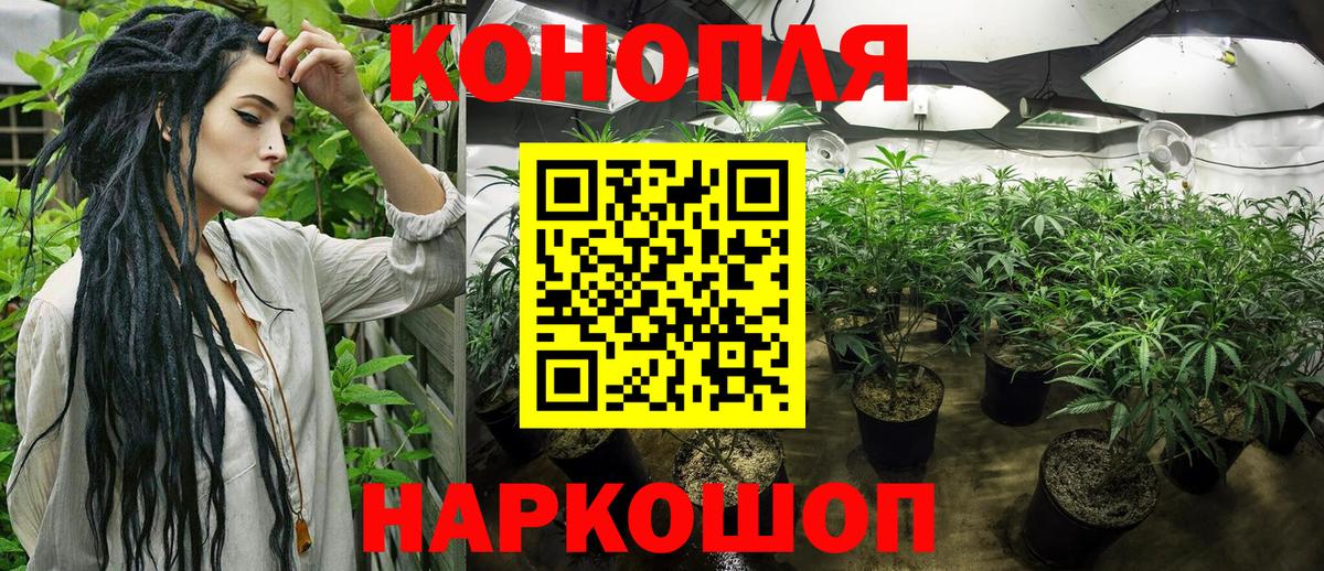 Конопля индика Егорьевск